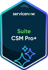 Suite CSM Professional