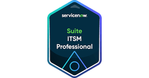 Suite ITSM Professional